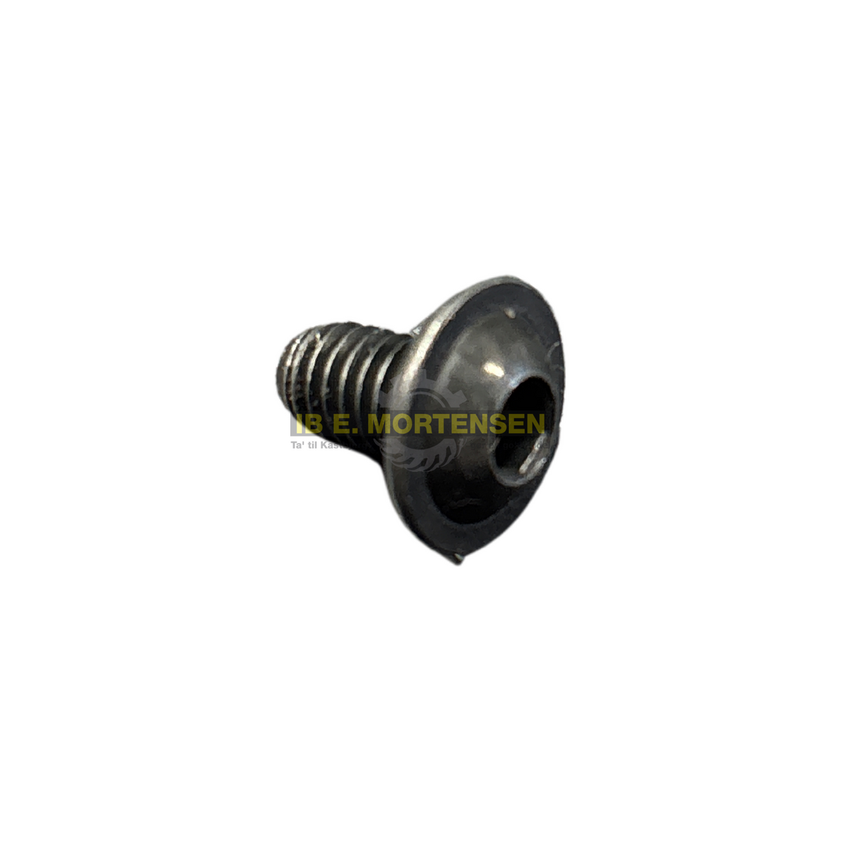 Skrue M6x10