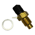 Temp sensor motor 18ZT