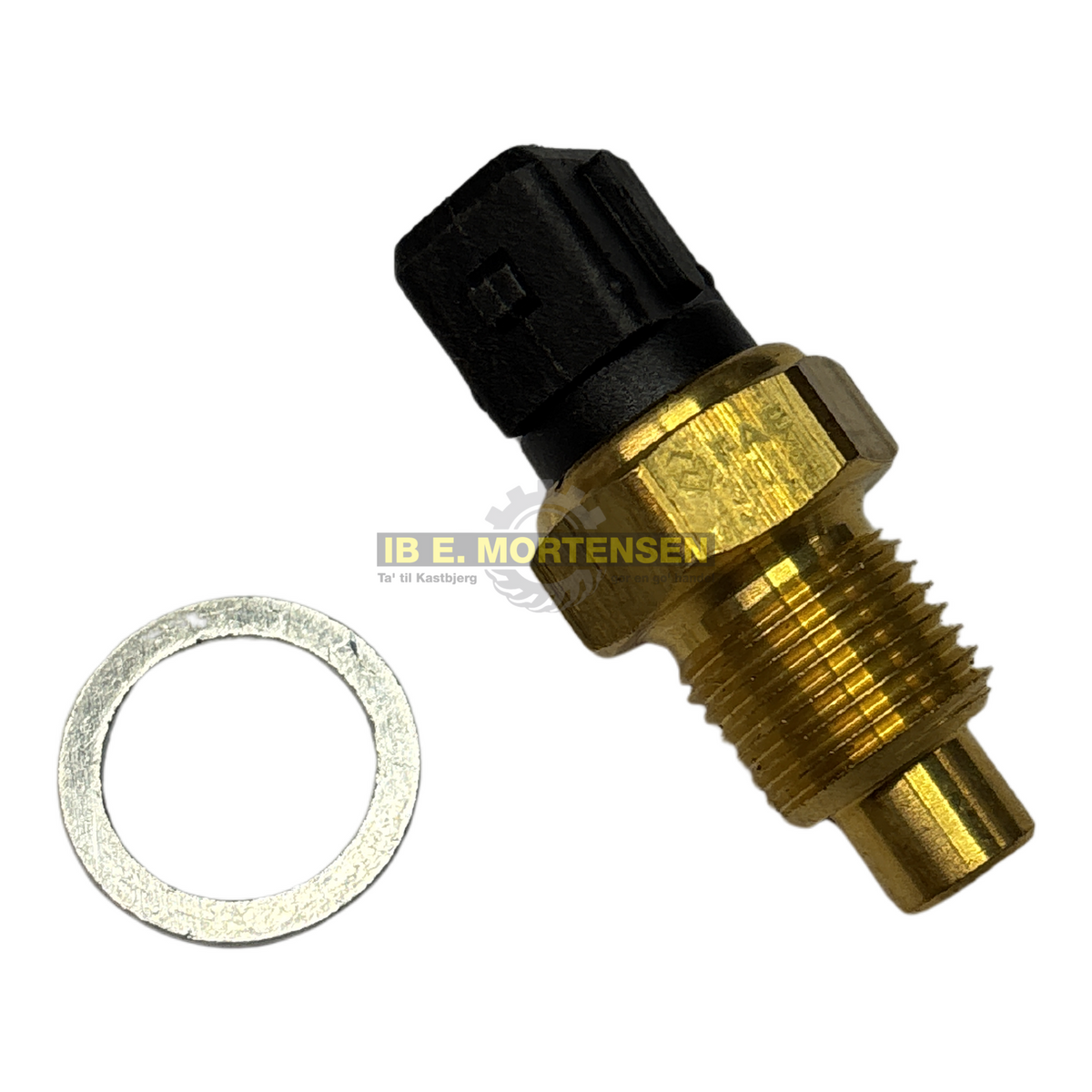 Temp sensor motor 18ZT